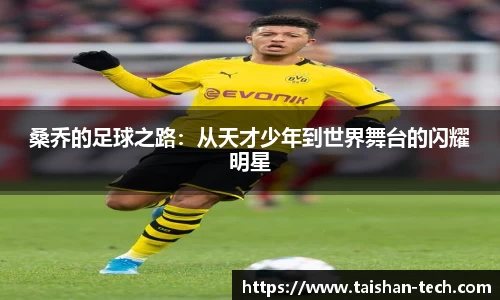 桑乔的足球之路：从天才少年到世界舞台的闪耀明星